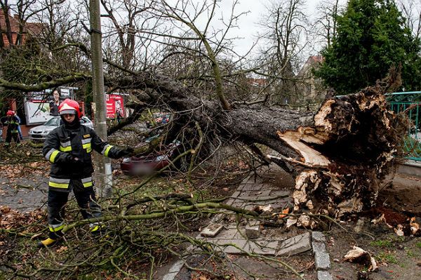 Fatalne skutki wichury. Tysiące ludzi wciąż bez prądu