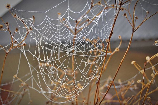 Deszcz, słońce i mgły - prognoza pogody na 19 i 20 października