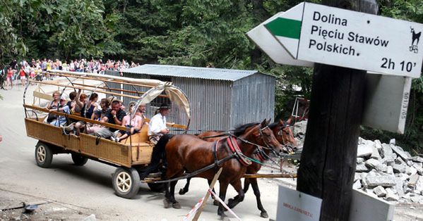 Na drodze do Morskiego Oka znów padł koń