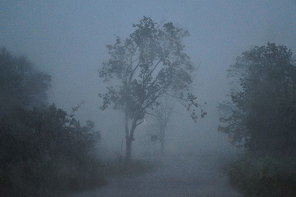 Po burzach setki połamanych drzew, zalane piwnice; ponad 1300 interwencji