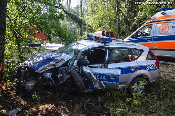 Polkowice: policjantka wjechała radiowozem w drzewo