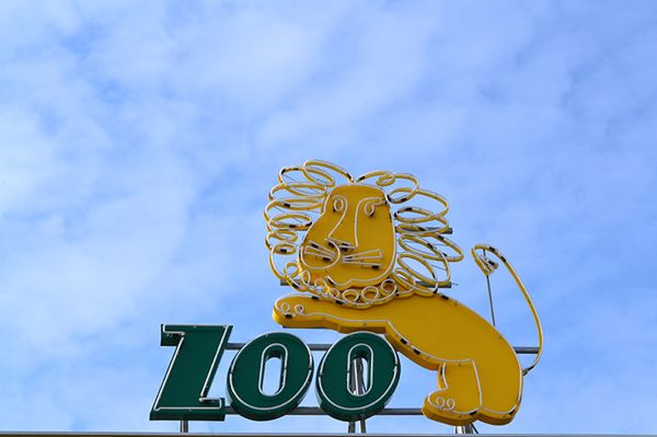 Podwyżka cen biletów we wrocławskim zoo. Za normalny zapłacimy już 40 złotych