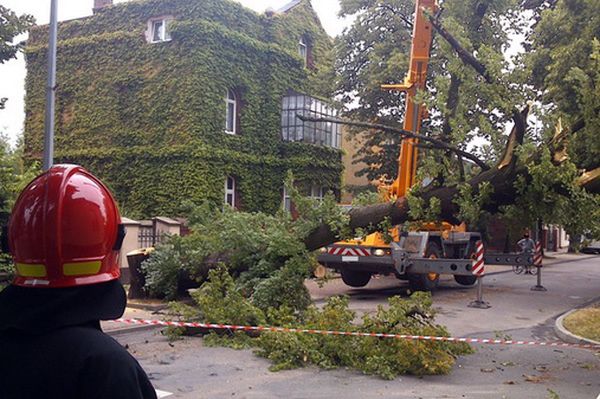 Pogodowy Armagedon. Powalone drzewa i zalane piwnice