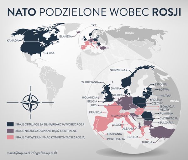 NATO podzielone wobec Rosji - kto "jastrzębiem", a kto "gołębiem"? Zobacz infografikę