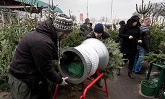 Bez niej nie wyobrażamy sobie świąt - jak długo wytrzyma?