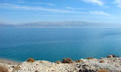 Morze Martwe obudzi się do życia?!