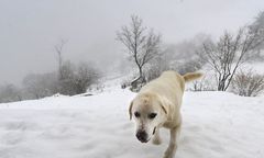 Hiszpania pod śniegiem