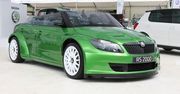 Skoda RS 2000: rajdowy roadster