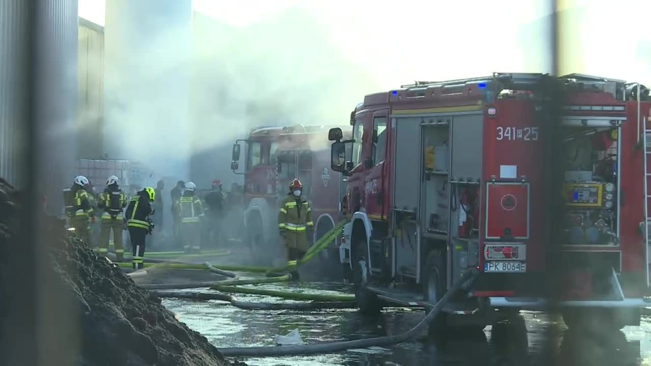 Pożar szklarni w Wielkopolsce, hala i maszyny spłonęły doszczętnie