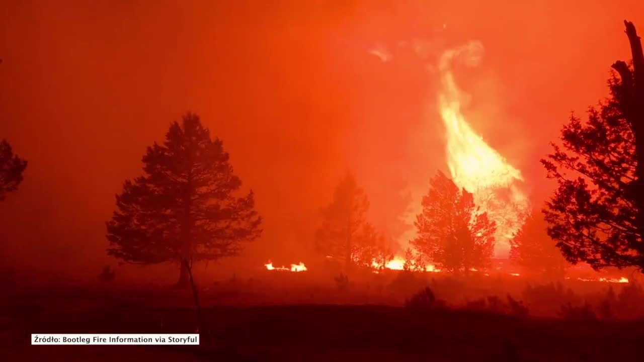 Pożar w stanie Oregon stał się największym w USA. Ogień objął już powierzchnię ponad 1100 km kwadratowych.