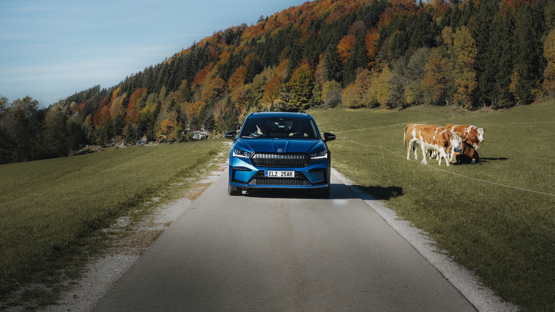 Skoda Enyaq iV Style 80