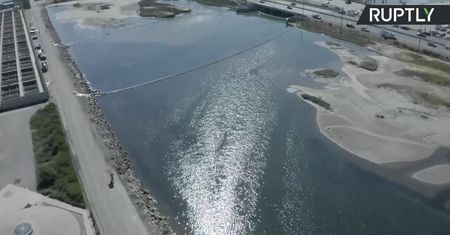 Wyciek 500 tys. litrów ropy u wybrzeży Kalifornii. Martwe ptaki i ryby na plaży