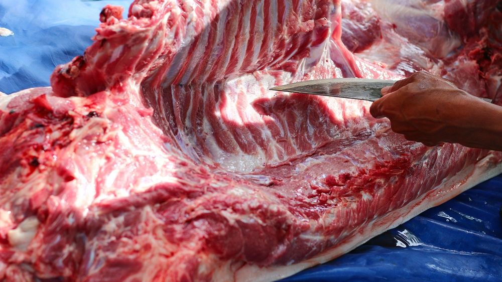 Surowa tusza wieprzowa (mięso i tłuszcz)