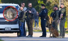 To szczurzy narkomani". Policja z USA ma nie lada kłopot