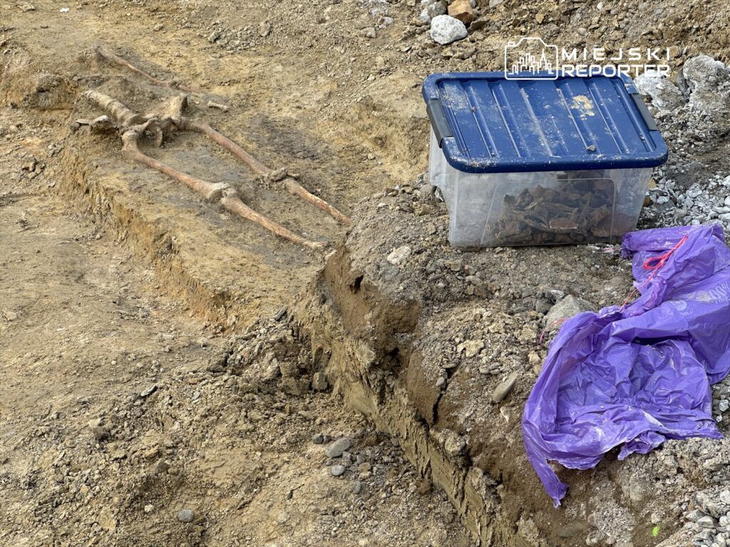 Wykopane szczątki kostne leżą na ziemi obok niebieskiego pojemnika z fragmentami ceramiki i fioletowej folii.