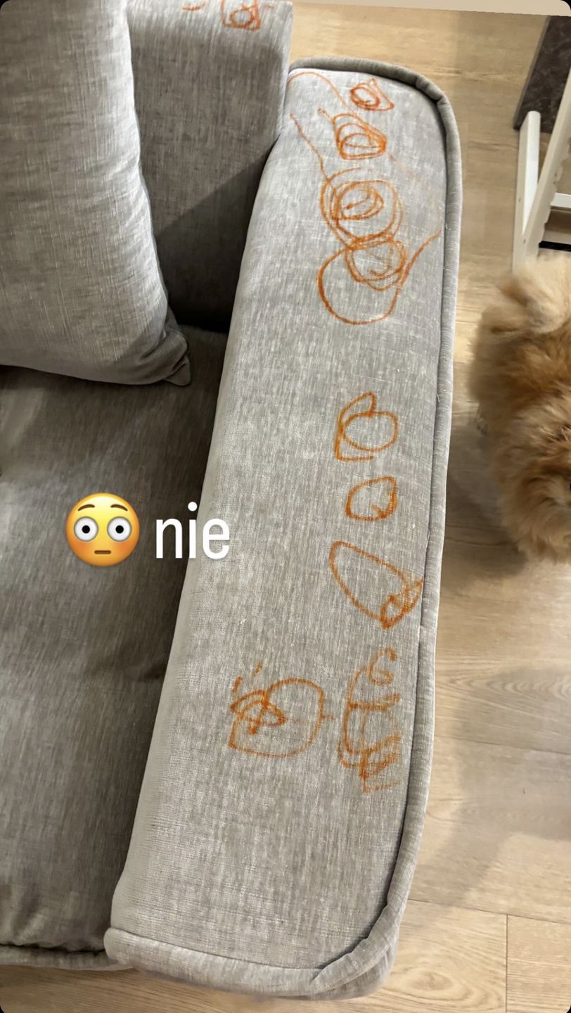 Joanna Opozda prezentuje artystyczne zdolności Vincenta