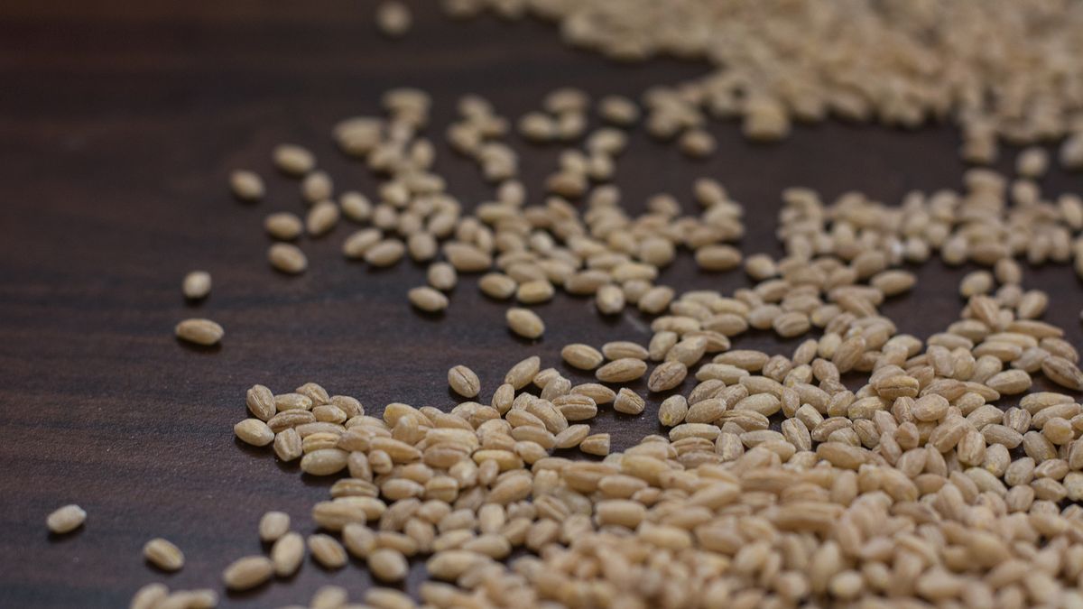 Surowy jęczmień perłowy