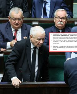 "Tajny" przekaz dnia PiS. Tak mają tłumaczyć się ze sprzedaży działki pod CPK