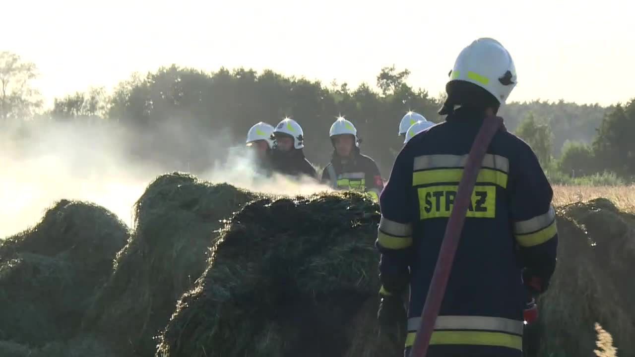 Pożar we Wtórku w Wielkopolsce. Spłonęły przyczepy ze słomą oraz ściernisko