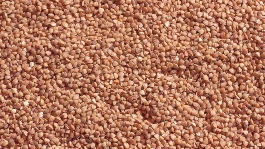 Substancje zawarte w gryce wpływają korzystnie na funkcjonowanie organizmu człowieka