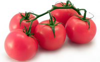 Sadzenie pomidorów