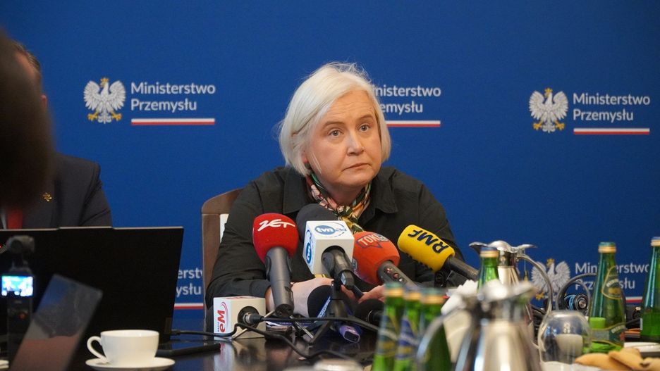 Marzena Czarnecka, minister przemysłu