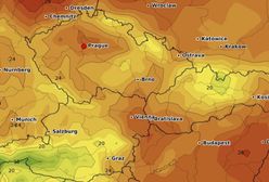 Pogoda zdumiewa. Rekord ciepła. Czesi: To jeszcze nic, poczekajcie na weekend