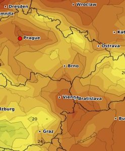 Pogoda zdumiewa. Rekord ciepła. Czesi: To jeszcze nic, poczekajcie na weekend