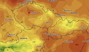 Pogoda zdumiewa. Rekord ciepła. Czesi: To jeszcze nic, poczekajcie na weekend