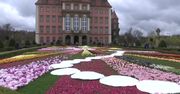 W zamku Książ w Wałbrzychu trwa 33. Festiwal Kwiatów i Sztuki. Dekoracje ze świeżych kwiatów stworzyło ponad 100 florystów