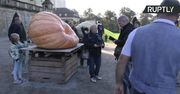 Wybrano najcięższą dynię w Europie. Ogrodnik z Toskanii wyhodował olbrzyma o wadze 1226 kg.