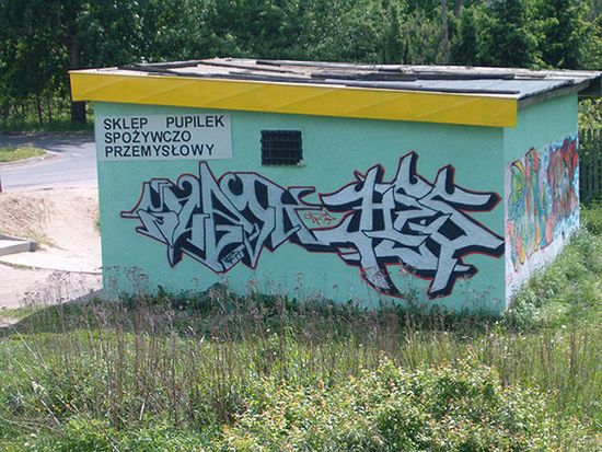 Obraz