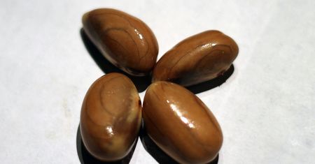 Surowe nasiona chlebowca