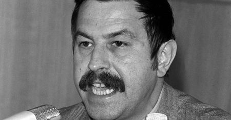 Günter Grass - artysta i polityk