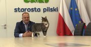 Kotka w starostwie mieszka już 2 lata