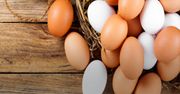 Kolor skorupki jajka - od czego zależy?