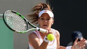 Wimbledon: Czworo reprezentantów Polski wystąpi w turnieju głównym