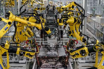 Alarmujący przykład z Niemiec. "Człowiek może stać się zbędny"