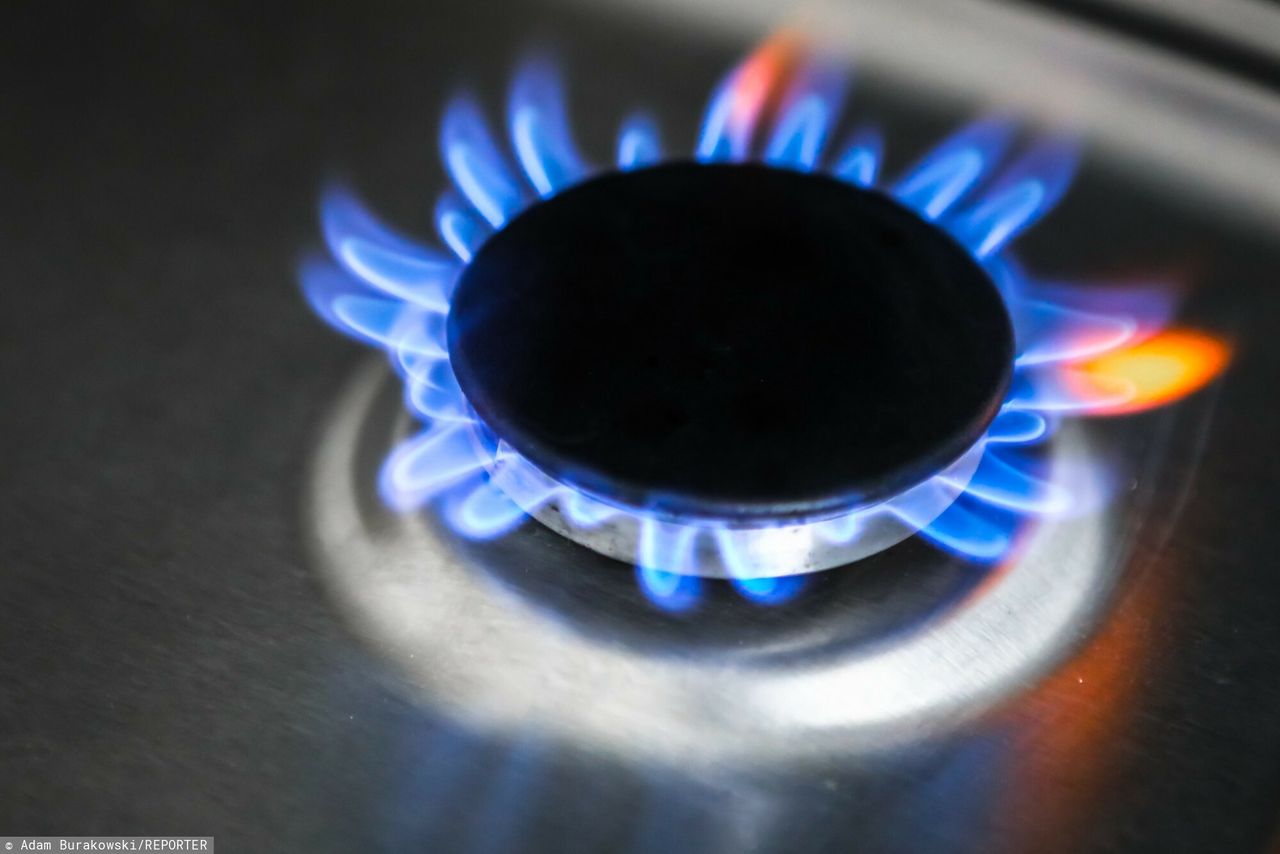 Tauron odpowiada ws. zrywania umów na gaz. "Nie ma mowy o przerwach"