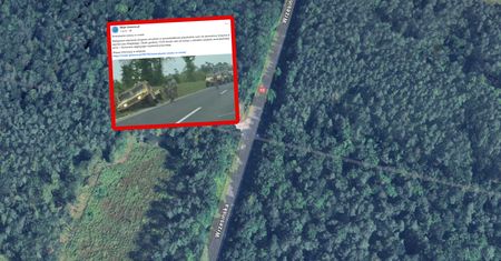 Amerykanie w rowie. Migawki z Gniezna obiegają sieć