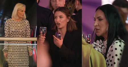 Gwiazdy bawią się za kulisami premiery "Chłopów": Julia Wieniawa, Kayah, Małgorzata Foremniak z partnerem... (ZDJĘCIA)