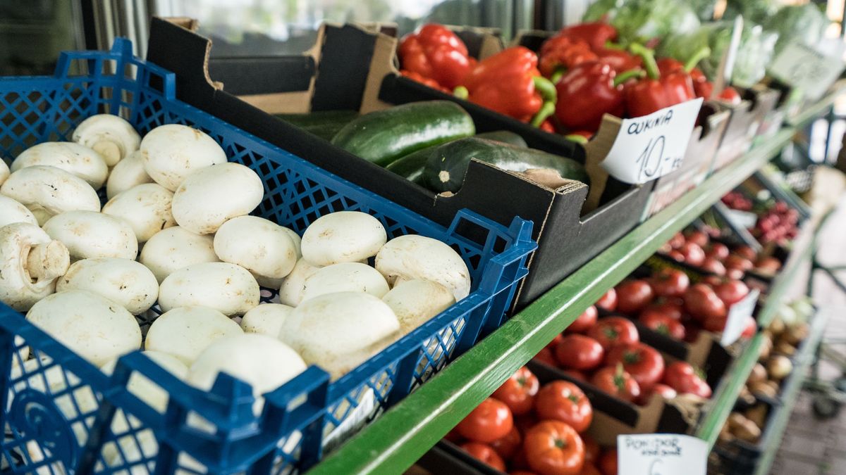 Istnieje wiele sposób na to, by oszczędzić na jedzeniu. Warto dokonywać przemyślanych i zaplanowanych zakupów.