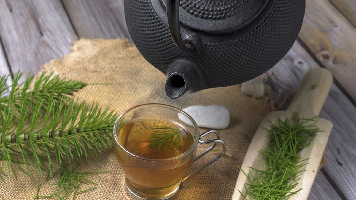 Equisetum arvense herbal tea
Equisetum arvense herbal tea with iron teapot and wooden scoop on rustic background
Francisco Franco
