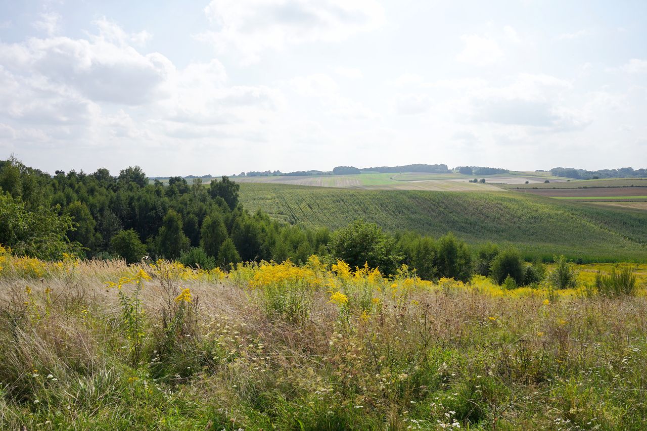 Kocie Góry na Dolnym Śląsku. Piękne i mało znane miejsce na relaks