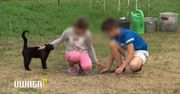 Rodzeństwo 12-latków: Tata nadużywa alkoholu, podnosi rękę