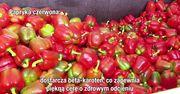 Papryka to witaminowa rekordzistka. Który kolor najlepszy?