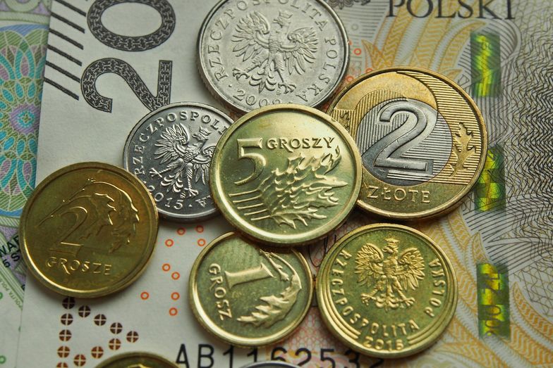 Analitycy: złoty najmocniejszy wśród walut regionu