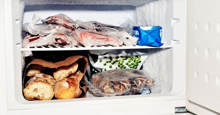 Jak długo przechowywać żywność w zamrażalniku?