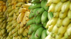 Właściwości bananów zależą od koloru skórki