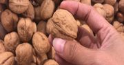 Właściwości orzechów włoskich